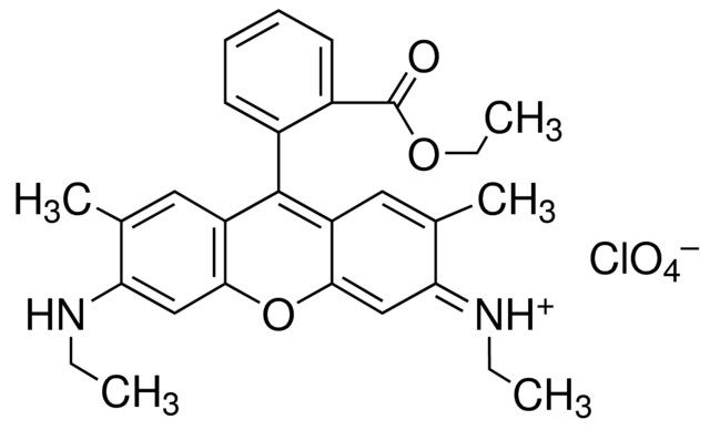 Rhodamine 6G perchlorate