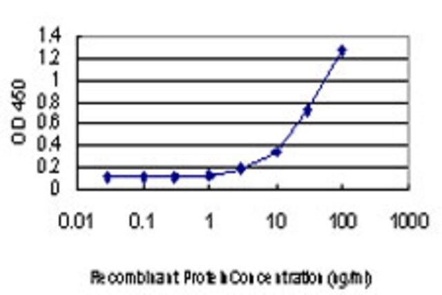 ANTI-PIM1 antibody produced in mouse