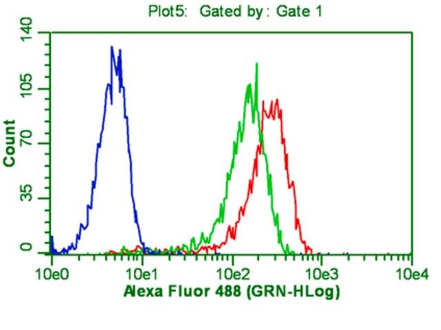 Anti-OCT-4 [POU5F1] Antibody, clone 7F9.2