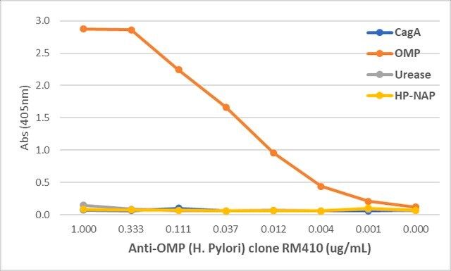 Anti-OMP (<i>Helicobacter Pylori</i>) Rabbit Monoclonal Antibody