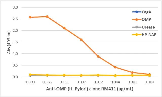 Anti-OMP (<i>Helicobacter Pylori</i>) Rabbit Monoclonal Antibody