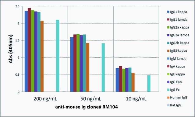 Anti-Mouse IgG-Biotin antibody, Rabbit monoclonal