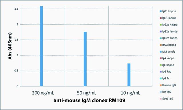 Anti-Mouse IgM-Biotin antibody, Rabbit monoclonal