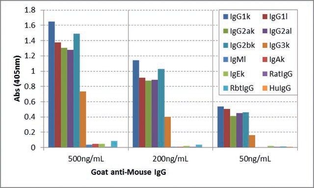 Anti-Mouse IgG-Biotin antibody, Goat monoclonal