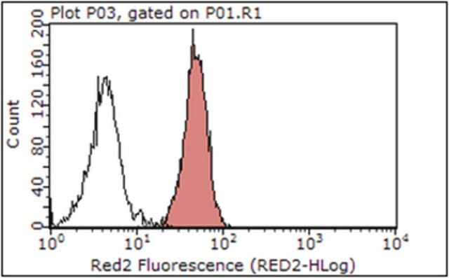 Anti-Integrin alpha-V Antibody, clone 272-17E6 (Azide free)