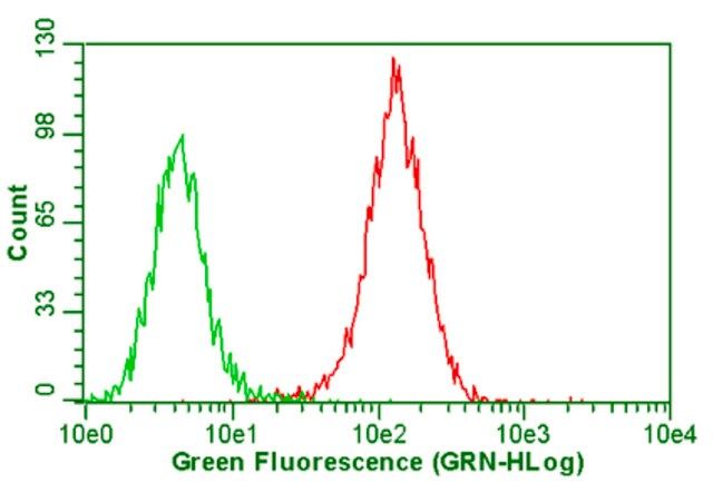 Anti-Integrin V5 Antibody, clone P1F6