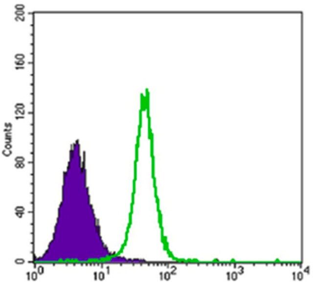 Anti-HK2 Antibody, clone 3D3