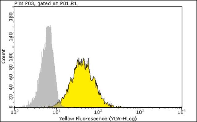 Anti-HLA-B7 Antibody, clone BB7.1, PE Conjugate