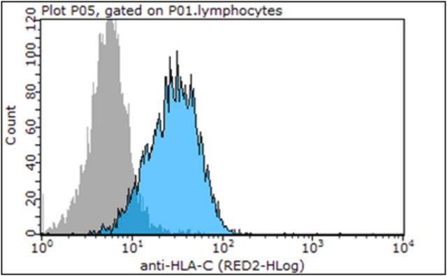 Anti-HLA-C Antibody, clone DT9