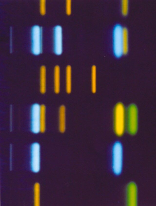 TLC Kieselguhr F<sub>2</sub><sub>5</sub><sub>4</sub>