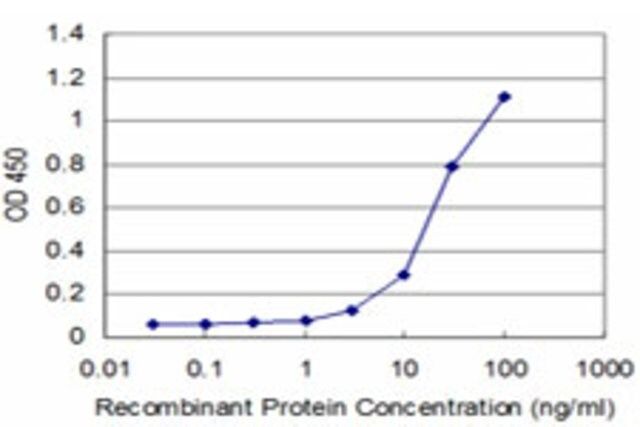 ANTI-DLX5 antibody produced in mouse