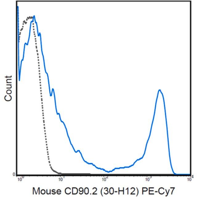 Anti-CD90.2 Antibody (mouse), PE-Cy7, clone 30-H12