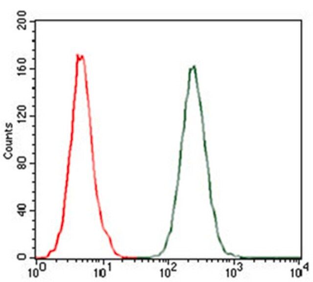 Anti-CCL2 Antibody, clone 2D8