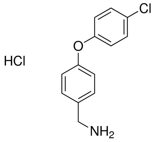 [4-(4-chlorophenoxy)phenyl]methylamine hydrochloride