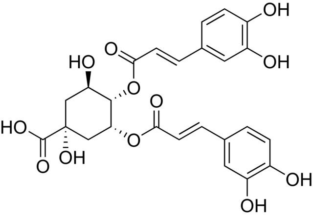 3,4-Dicaffeoylquinic acid