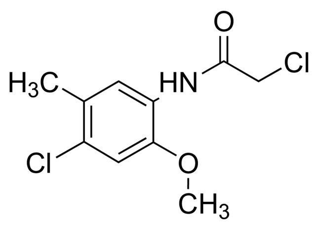 2-Chloro-<i>N</i>-(4-chloro-2-methoxy-5-methylphenyl)acetamide