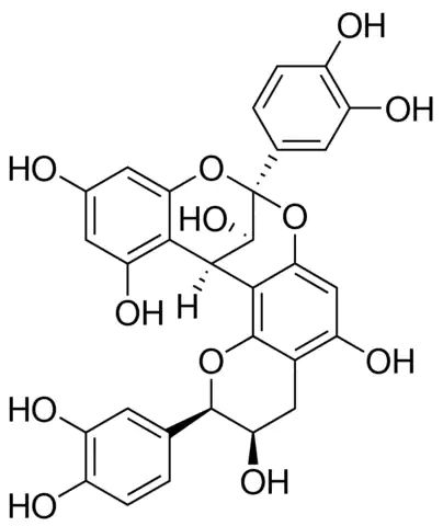 Procyanidin A2