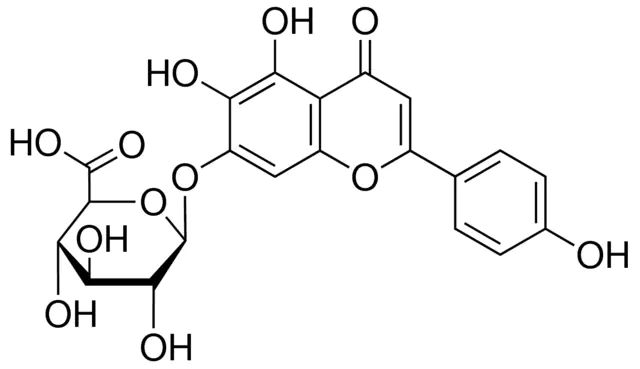 Scutellarin