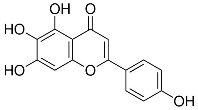 Scutellarein