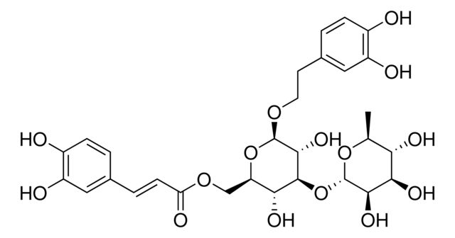 Isoverbascoside