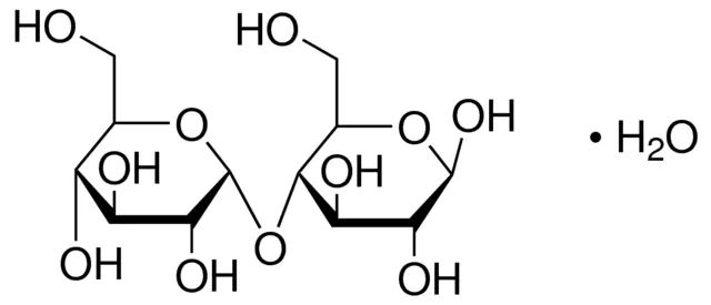 Maltose monohydrate