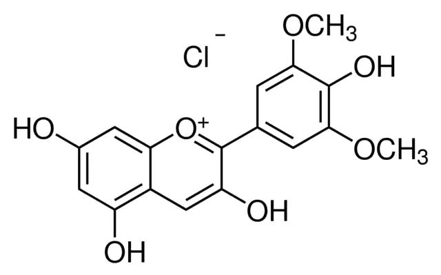 Malvidin chloride