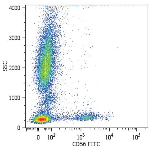 Monoclonal Anti-CD56-FITC antibody produced in mouse