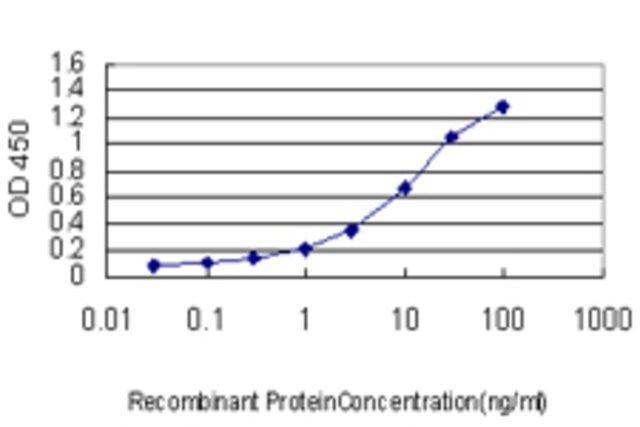 Monoclonal Anti-ARHGDIA antibody produced in mouse