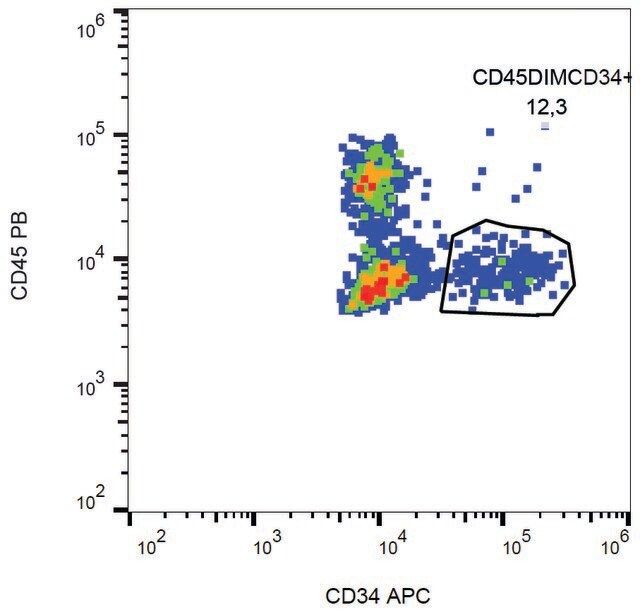 Monoclonal Anti-CD34-APC antibody produced in mouse