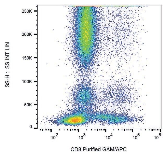 Monoclonal Anti-CD8 antibody produced in mouse