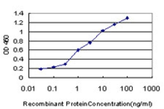 Monoclonal Anti-FLT4 antibody produced in mouse