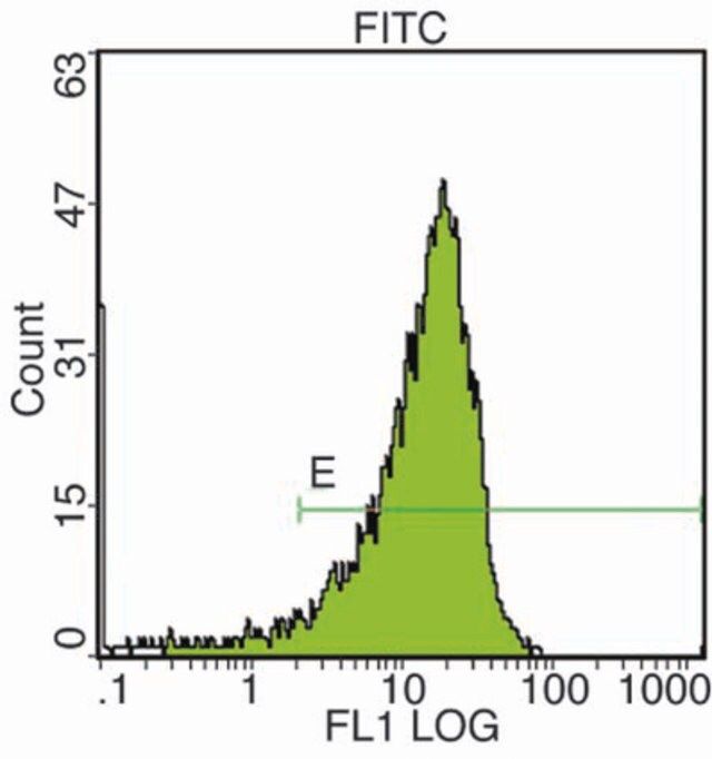 Anti-CD34 Class III Antibody, clone 581