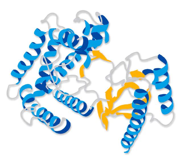 MAP Kinase 2/Erk2 Protein, inactive, Mouse, 50 g