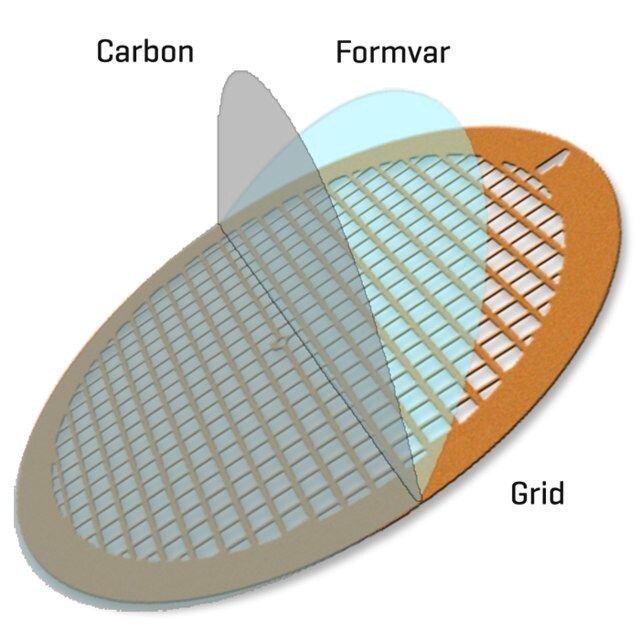 Formvar/Carbon Supported Gold Grids