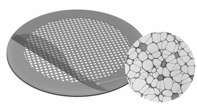 Lacey Carbon Supported Nickel Grid