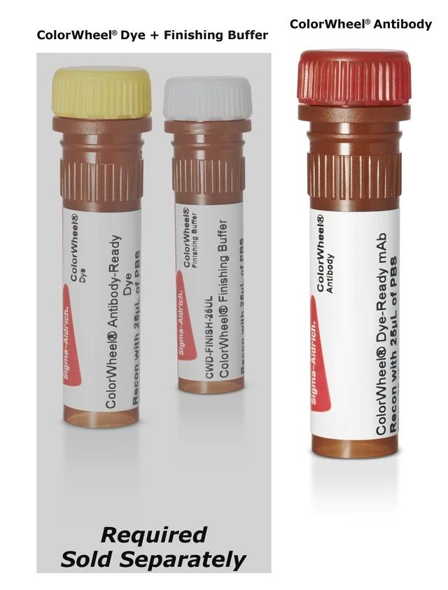 Mouse IgG1 Isotype Control (MOPC-21) ColorWheel<sup>®</sup> Dye-Ready mAb