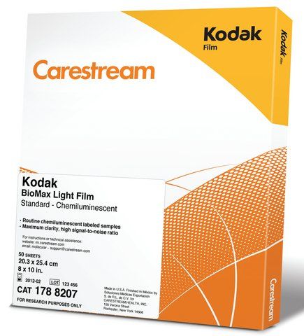 Carestream<sup>®</sup> BioMax<sup>®</sup> light film