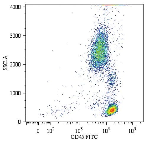 Monoclonal Anti-CD45-FITC antibody produced in mouse