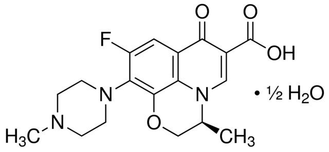 Levofloxacin hemihydrate