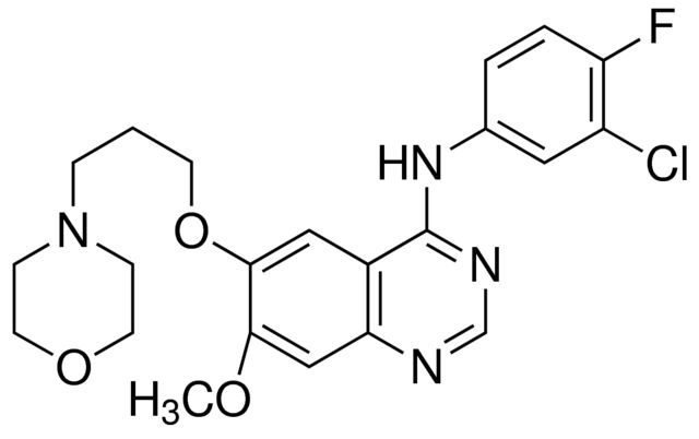 Gefitinib