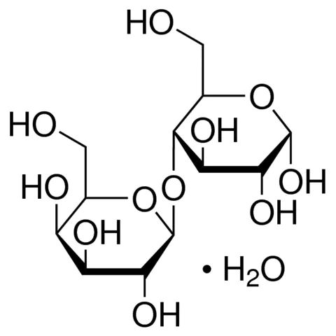 Lactose monohydrate