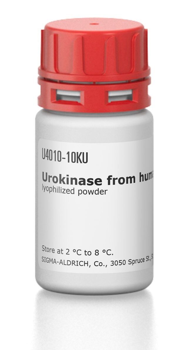 Urokinase from human kidney cells