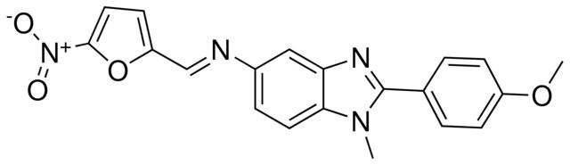 N-(2-(4-METHOXYPHENYL)-1-METHYL-1H-BENZIMIDAZOL-5-YL)-N-((5-NITRO-2-FURYL)METHYLIDENE)AMINE