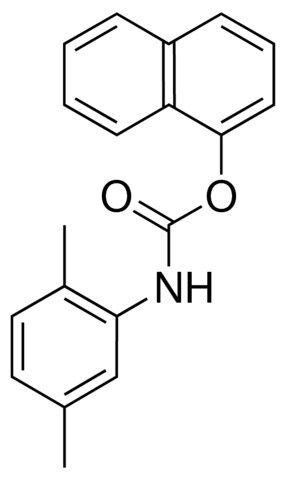 1-NAPHTHYL N-(2,5-DIMETHYLPHENYL)CARBAMATE