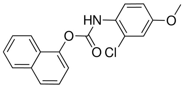 1-NAPHTHYL N-(2-CHLORO-4-METHOXYPHENYL)CARBAMATE