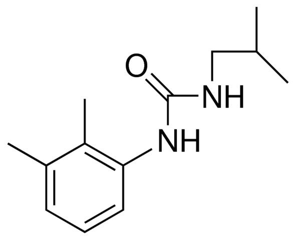 1-ISOBUTYL-3-(2,3-XYLYL)UREA