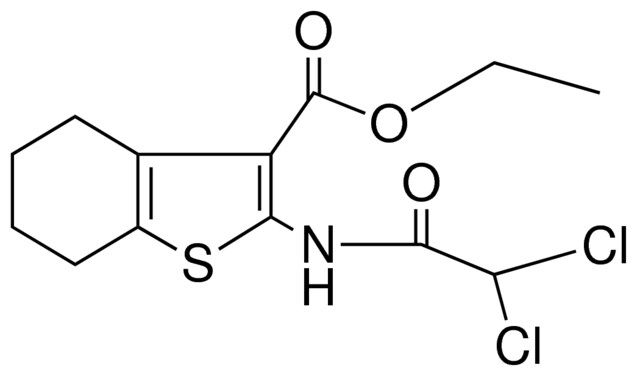 ETHYL 2-(2,2-DICHLOROACETAMIDO)-4,5,6,7-TETRA-H-BENZO(B)THIOPHENE-3-CARBOXYLATE