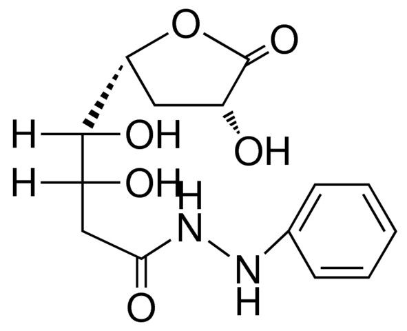 MANNOHEPTONIC PHENYLHYDRAZIDE