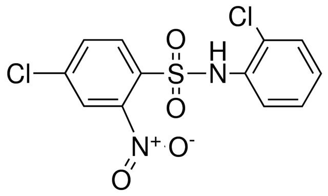 4-CHLORO-N-(2-CHLORO-PHENYL)-2-NITRO-BENZENESULFONAMIDE