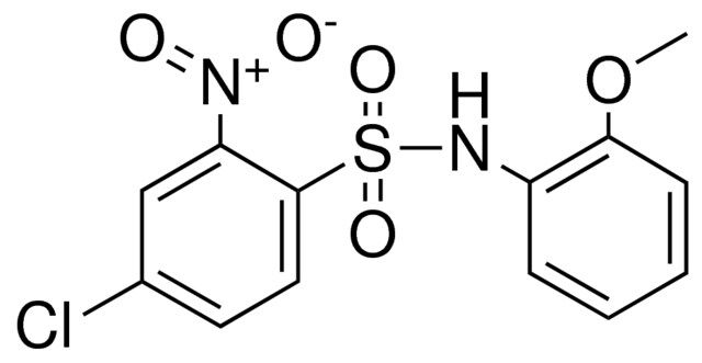 4-CHLORO-N-(2-METHOXY-PHENYL)-2-NITRO-BENZENESULFONAMIDE